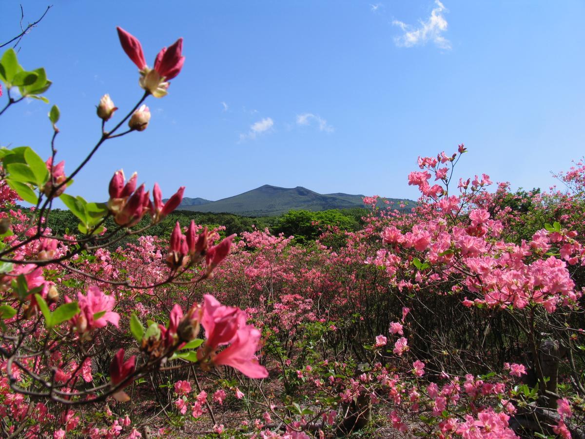 오시마 ホライゾン 빌라 외부 사진